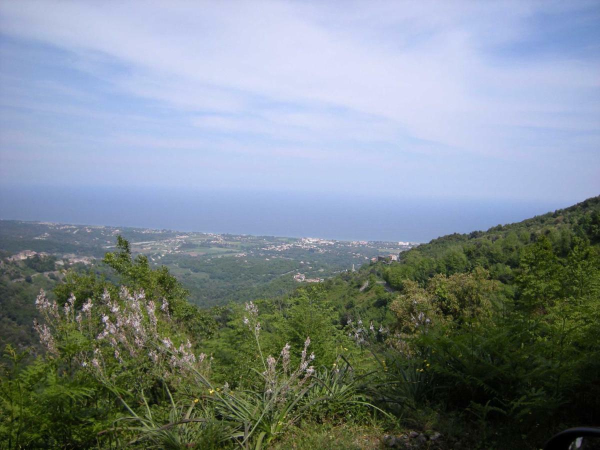 San-Giovanni-di-MorianiSole E Ventu 50Qmアパートメント エクステリア 写真