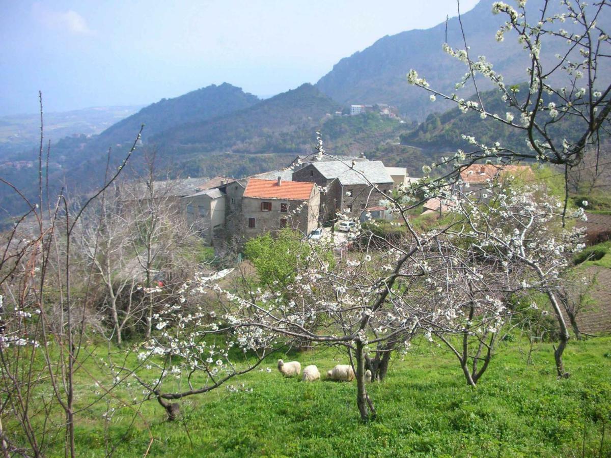 San-Giovanni-di-MorianiSole E Ventu 50Qmアパートメント エクステリア 写真