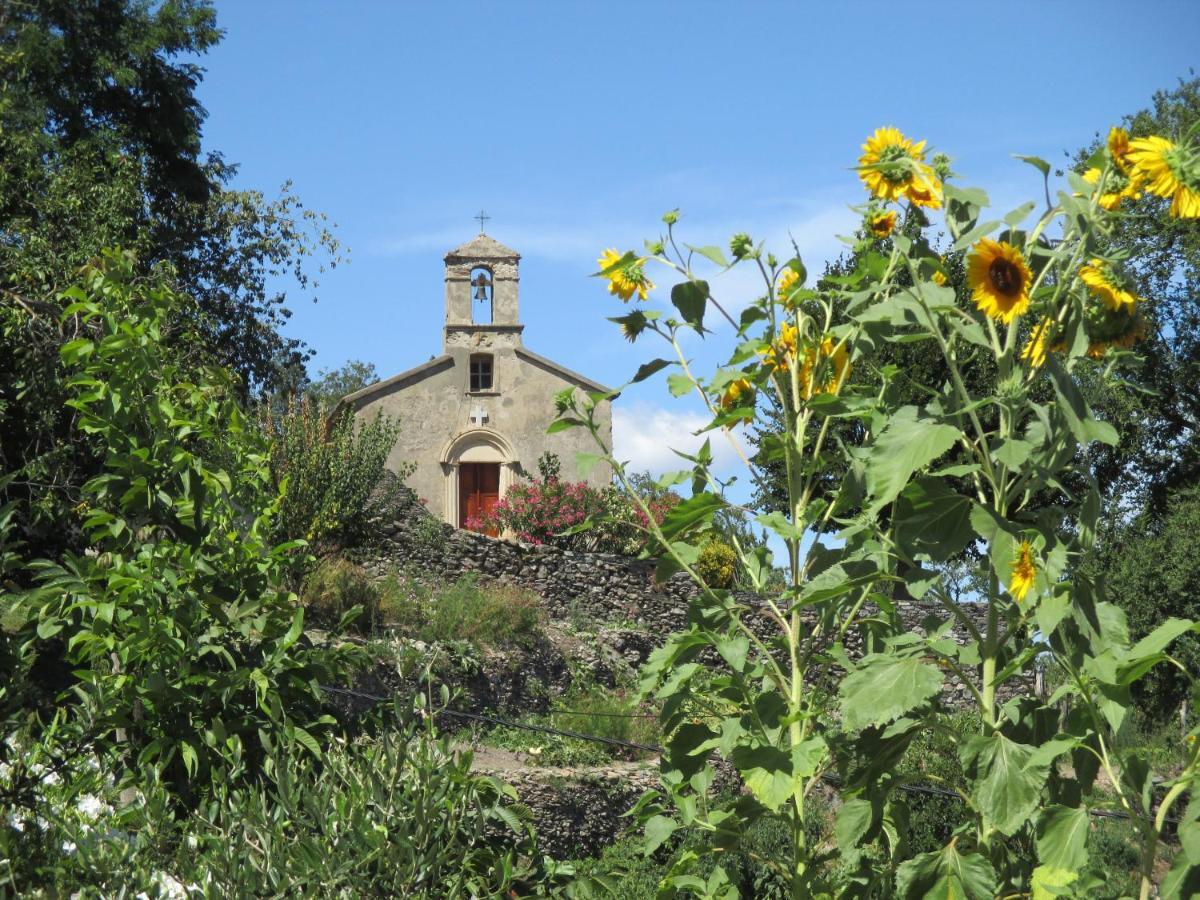 San-Giovanni-di-MorianiSole E Ventu 50Qmアパートメント エクステリア 写真